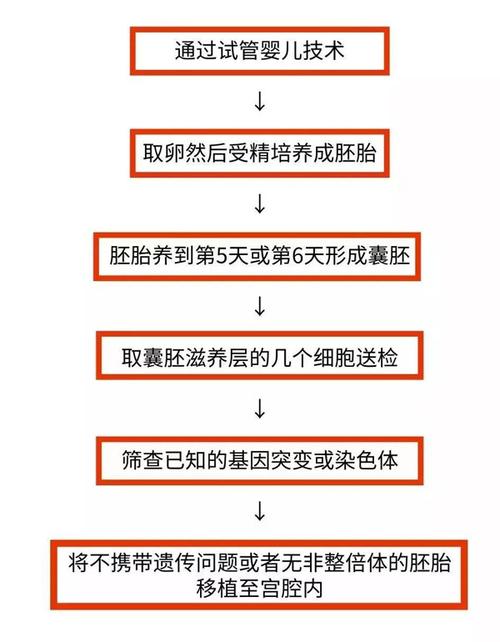 供卵试管代怀双胞胎流程_供卵试管代怀双胞胎流程详解