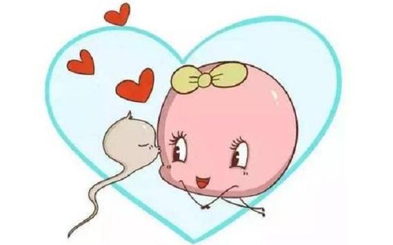 供卵试管代怀哪家成功率高-供卵试管代怀哪家成功率高？选择最佳医院指南