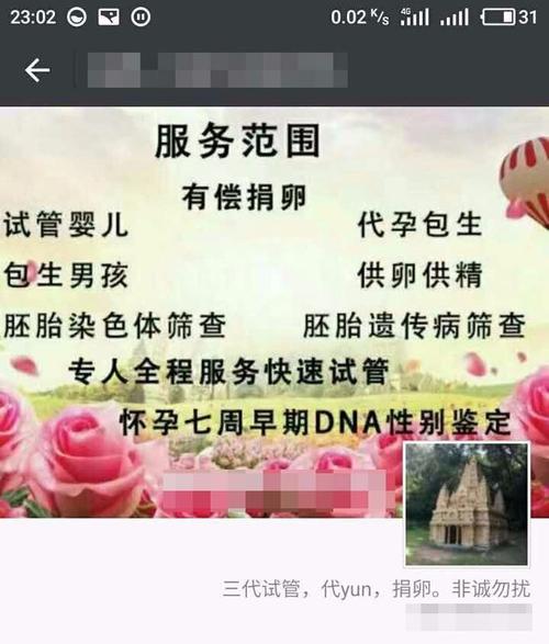 供卵试管代怀的全包费用(供卵试管代怀全包费用指南)