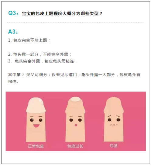 包生男孩有哪些【包生男孩有哪些特点和优势】