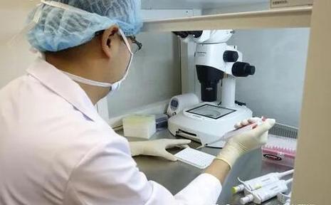 单身男士如何试管代怀-单身男士如何进行试管代怀?