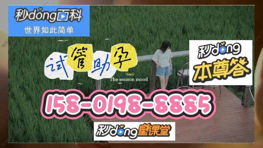 供卵代生男孩-供卵代生:实现梦想的男孩