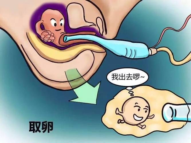 供卵试管代怀哪里找-供卵试管代怀哪里找:选择合适的中心很重要