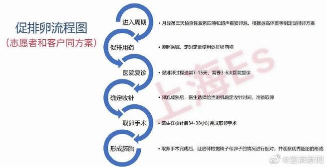 供卵多少钱_供卵多少钱?了解供卵费用和流程