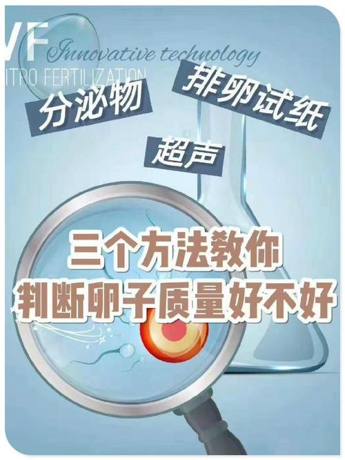 供卵试管婴儿选性别包成功【供卵试管婴儿选性别包成功:实现你梦寐以求的宝宝性别】