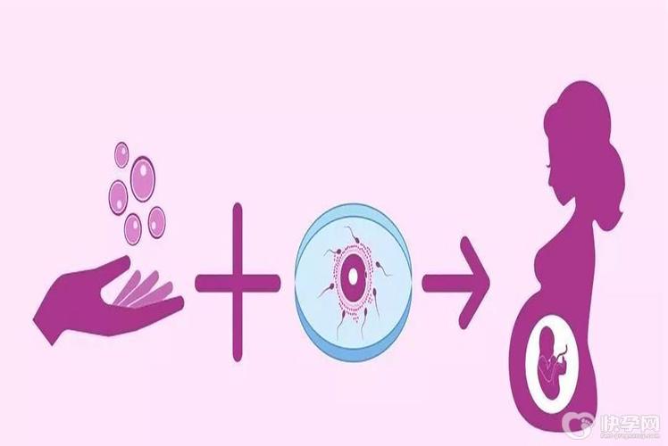 供卵试管最好的医院【全球顶尖供卵试管最好的医院汇集中】