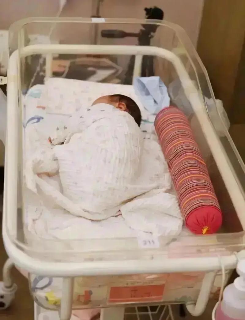 放心的包生男孩哪里有【放心包生男孩，寻找中心所在】