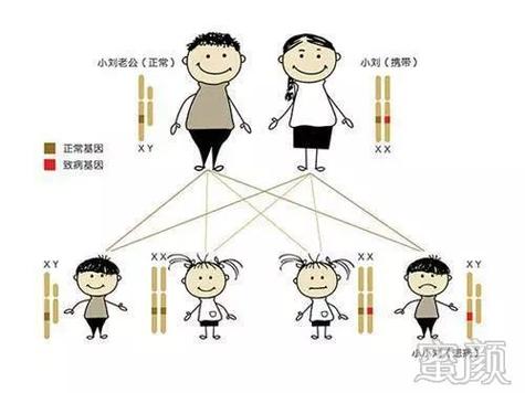 供卵的孩子有遗传母体基因吗_供卵孩子是否具有母体基因传承？