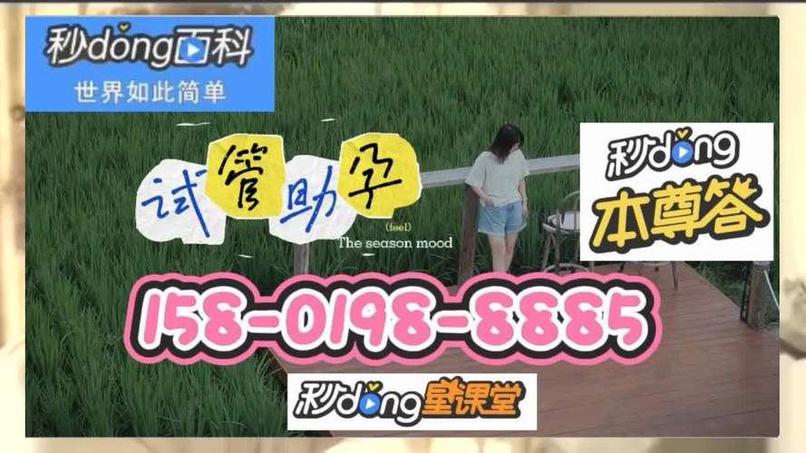 夫妻试管代怀(夫妻试管代怀：爱的延续之路)