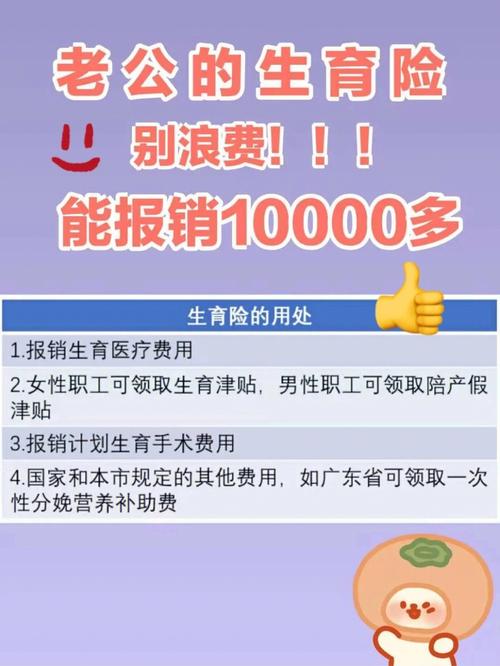 代生孩子收费10万元_代生孩子收费10万元:生育服务市场调查