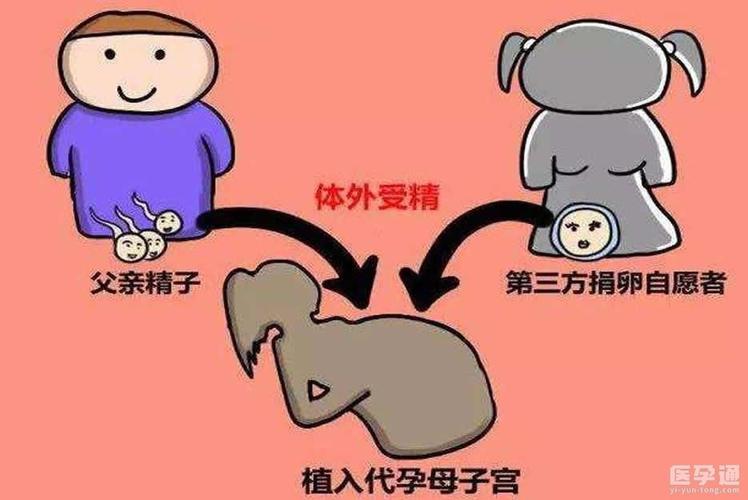 供卵对女性有什么伤害_供卵对女性有什么伤害？