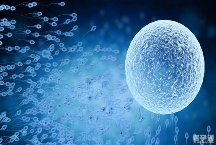 供卵试管选男女【供卵试管选男女：科技让生育更精准】