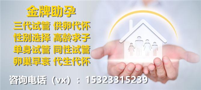 高龄试管借卵成功率-高龄试管借卵成功率解析及提高方法