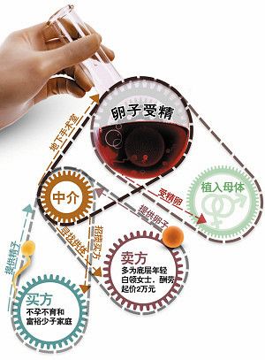 公立医院供卵是免费的吗(公立医院供卵是否免费？)