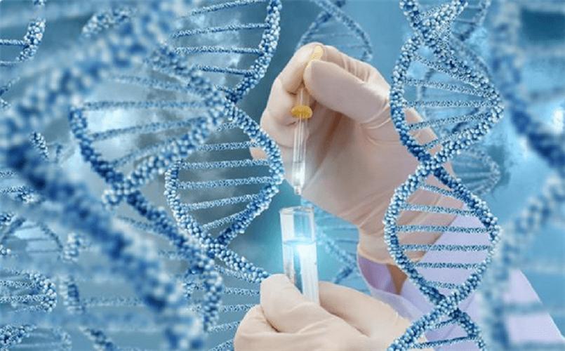 德国男子试管代怀【德国男子试管代怀：新生命的希望】