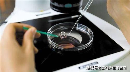 供卵试管被骗【供卵试管被骗：背后的真相】