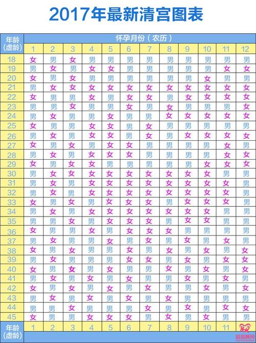 包生男孩信息(包生男孩信息全面解读)