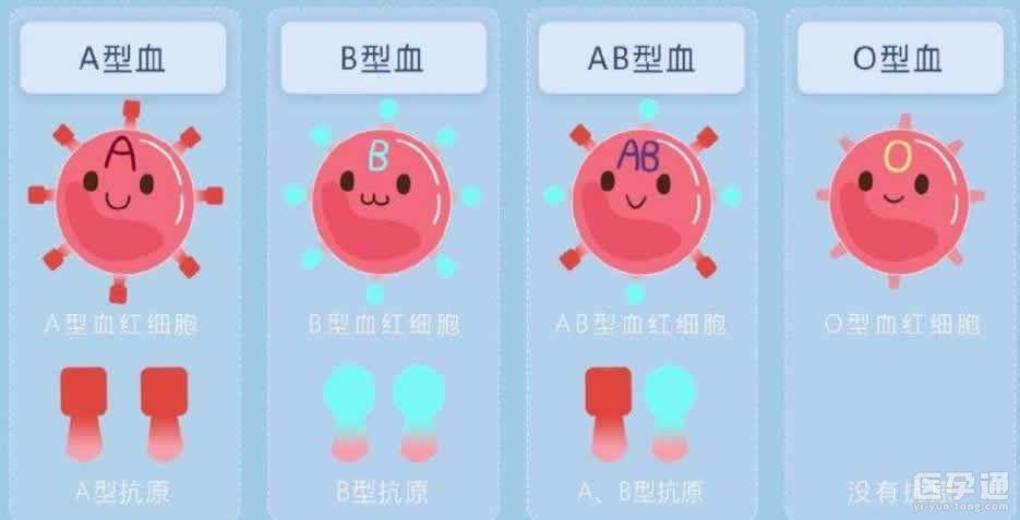 供卵血型不一样可以吗【供卵血型不一样可以吗？探讨不同血型对供卵的影响】