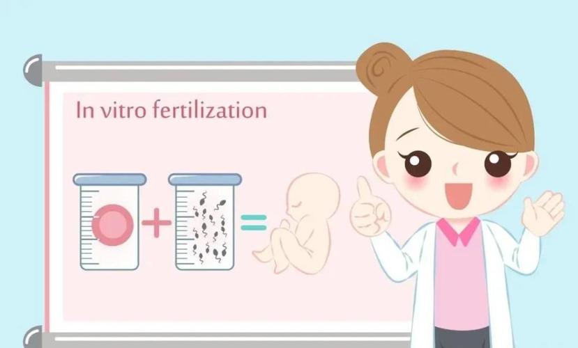 更好的试管代怀_更好的试管代怀:打破生育难题,实现梦想