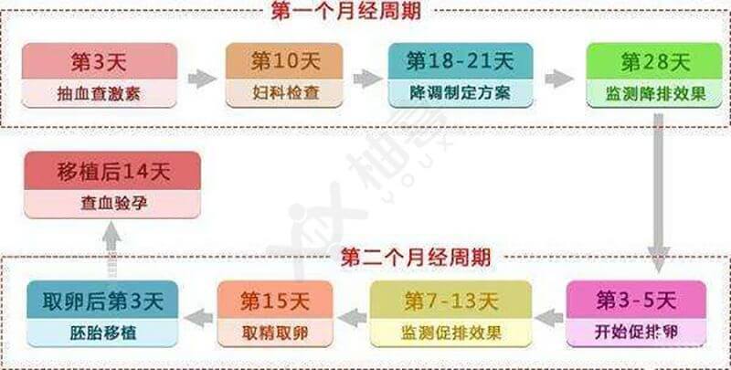 供卵试管代怀流程-供卵试管代怀流程解析及注意事项