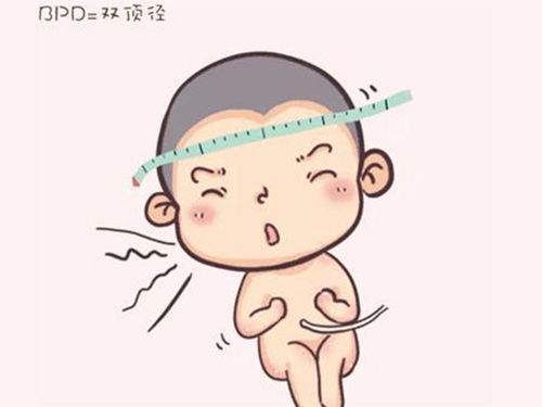 高价寻试管代怀妈妈【高价寻试管代怀妈妈：为梦想成真付出的代价】